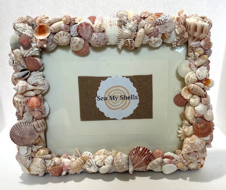 Florida Seashell Picture Frame by Seanna