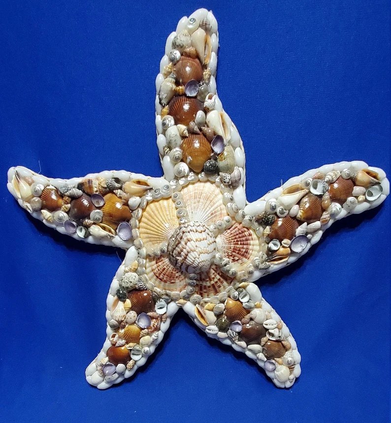 Seashell Starfish by Sue Corbin