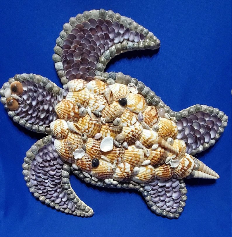 Seashell Sea Turtle by Sue Corbin