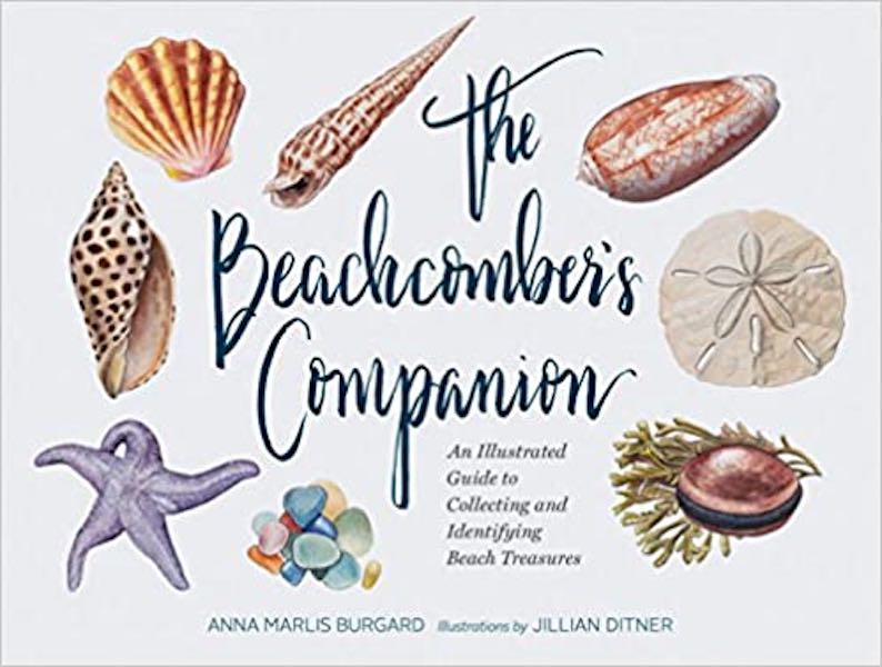 The Beachcomber’s Companion