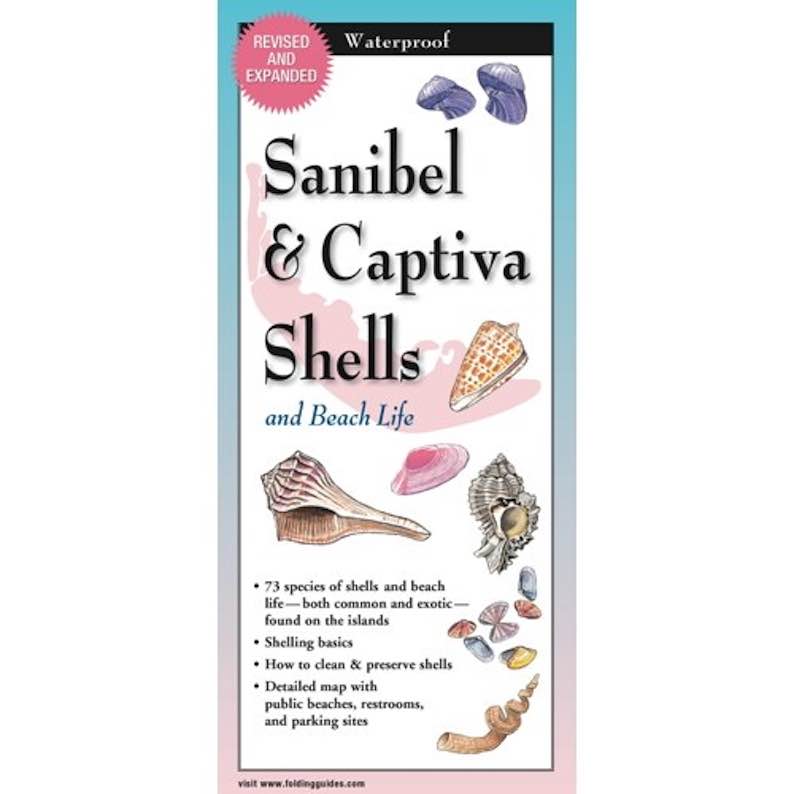 Sanibel & Captiva Shells and Beach Life