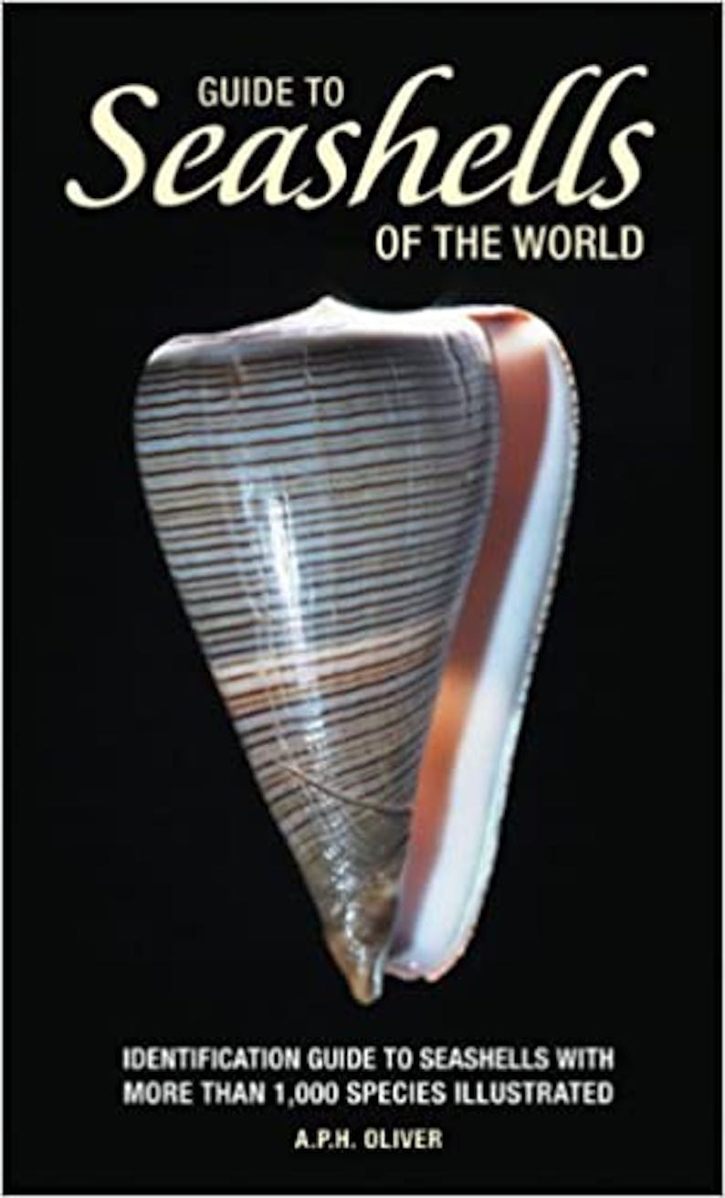 Guide to Seashells of the World