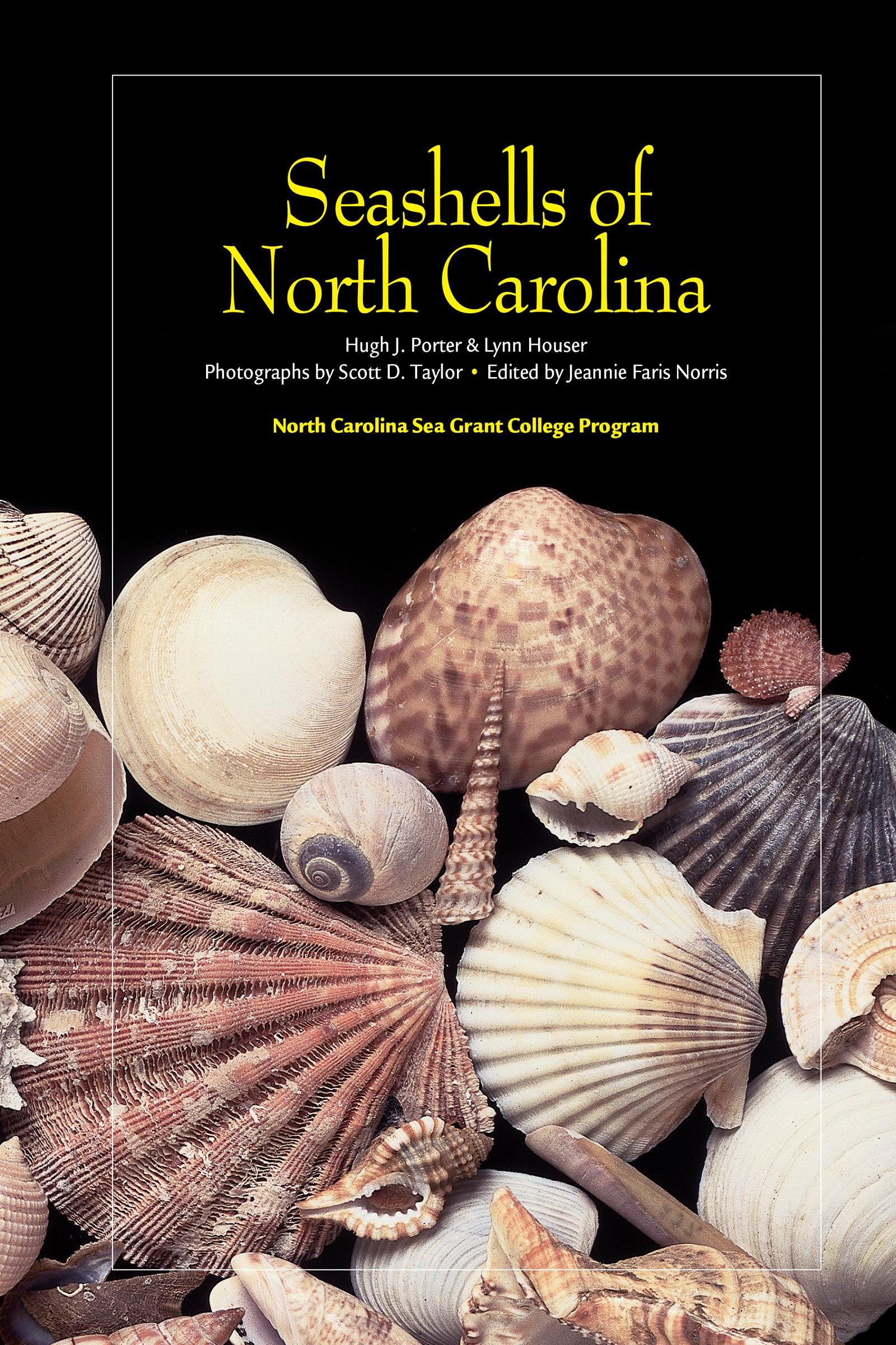 Seashells of North Carolina