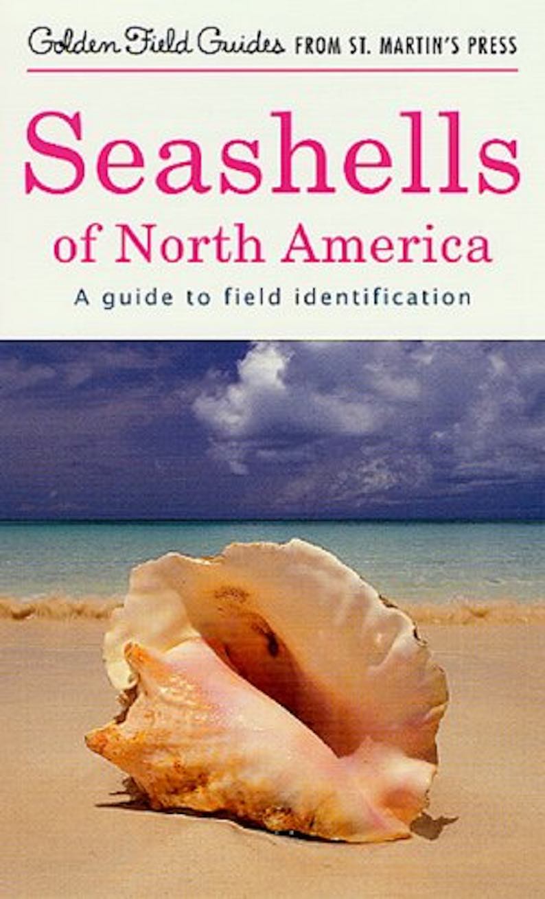 Seashells of North America: A Guide to Field Identification