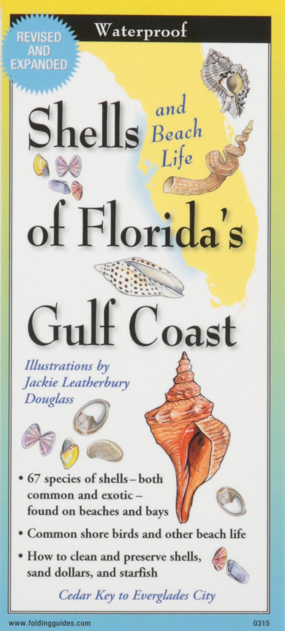 Shells of Florida’s Gulf Coast: Folding Guide