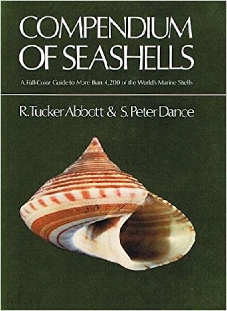 Compendium of Seashells: A Full-Color Guide to More than 4,200 of the World’s Marine Shells