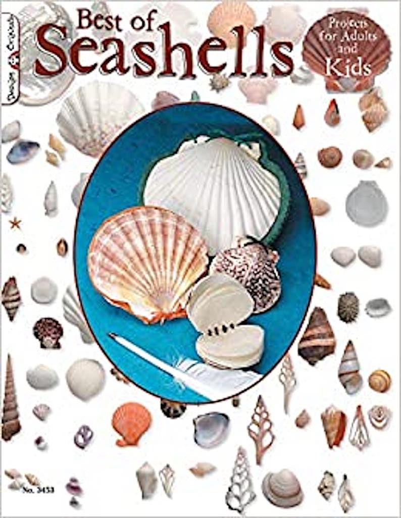 Best Book of Seashells: Projects for Adults & Kids