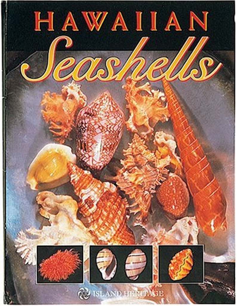 Hawaiian Seashells