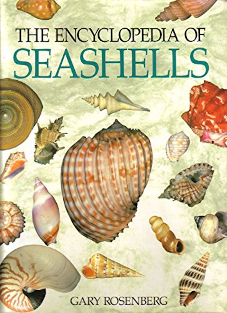 The Encyclopedia of Seashells
