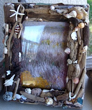 Driftwood & Barnacles Picture Frame<