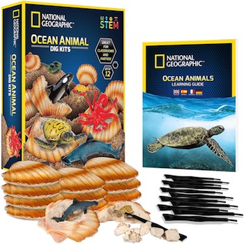 NATIONAL GEOGRAPHIC Ocean Animal Dig Kit