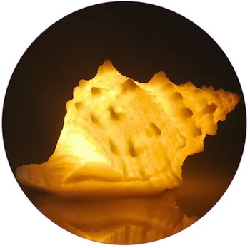 Portable Conch Shell Night Light