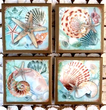 Seashell Coasters