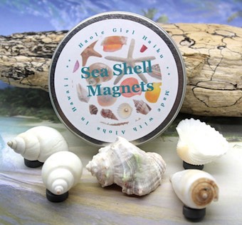 Sea Shell Magnets