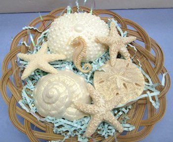 Seashell Soaps Gift Basket