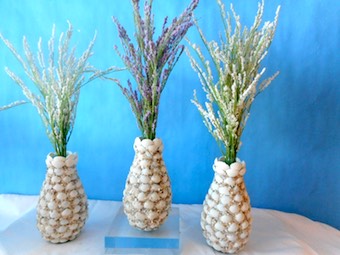 Sea Shell Vases